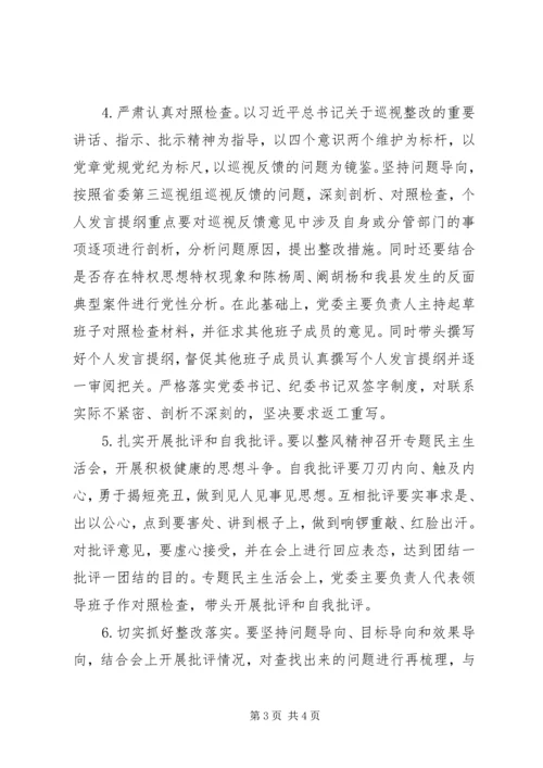 乡镇巡视整改专题民主生活会实施方案.docx