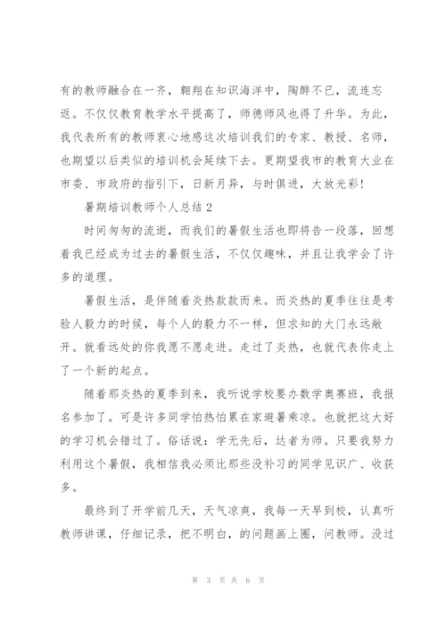 暑期培训教师个人总结 教师培训期间个人总结.docx