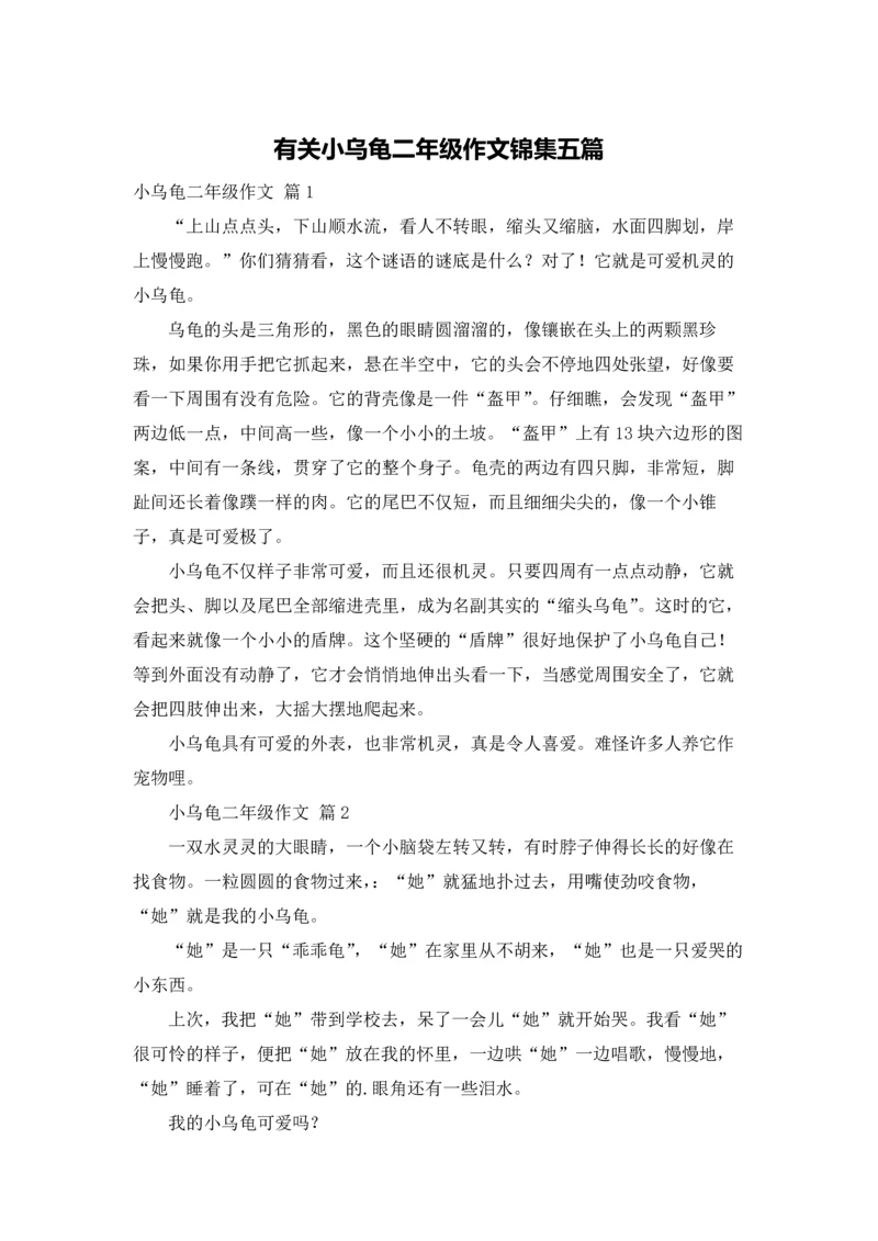 有关小乌龟二年级作文锦集五篇.docx