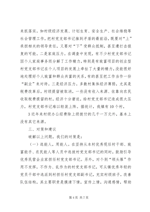 某镇关于村级党组织队伍建设经验做法及建议汇报五篇范文 (4).docx