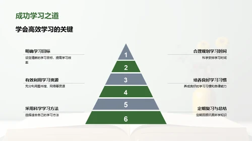 初一新篇章：启航之路