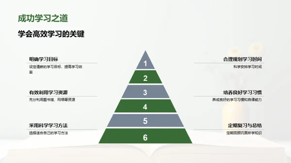 初一新篇章：启航之路