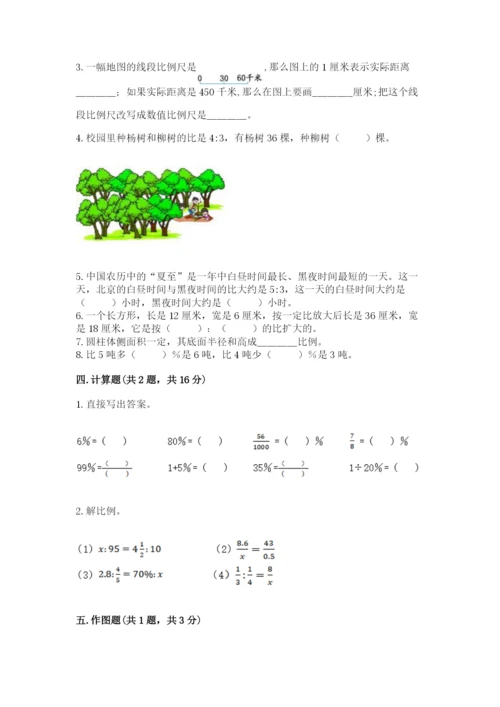 北师大版六年级下册数学 期末检测卷【研优卷】.docx