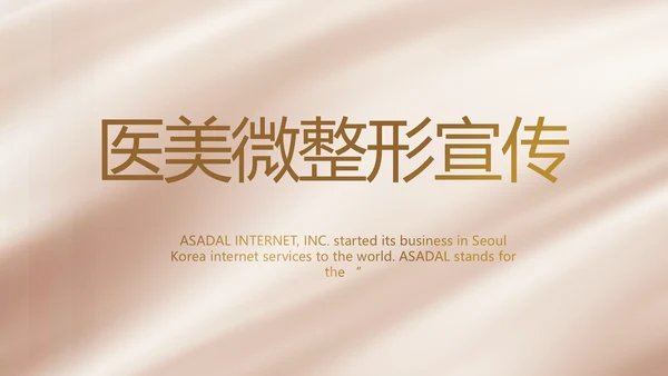大气医美微整形宣传工作总结PPT