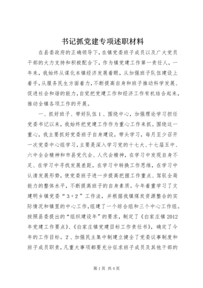 书记抓党建专项述职材料.docx