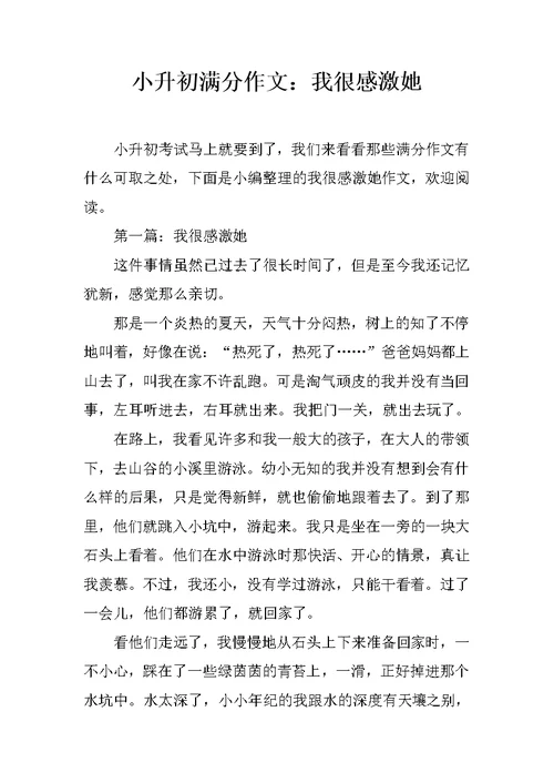 小升初满分作文：我很感激她