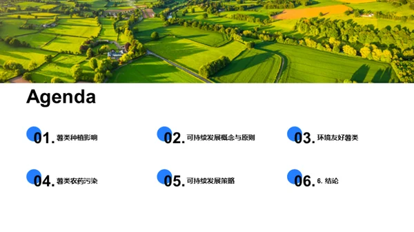 绿色薯种：环保农业