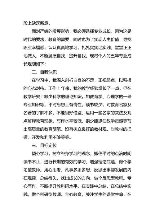 大学教师专业职业生涯发展规划