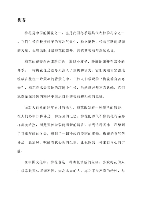 看了梅花的感想