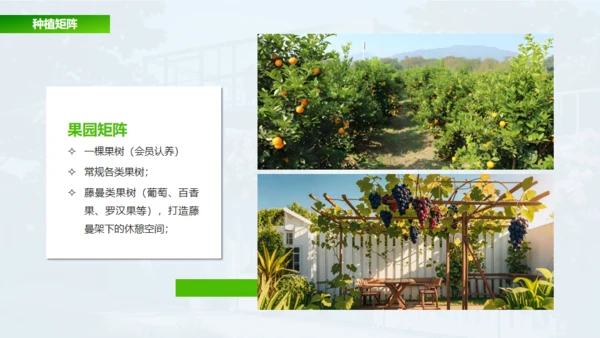 新城市农家小院策划案通用PPT