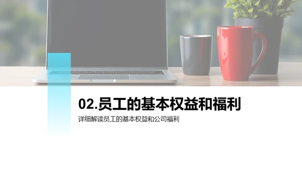 人资行政部门全解析