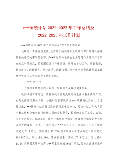 镇统计站20222023年工作总结及20222023年工作计划