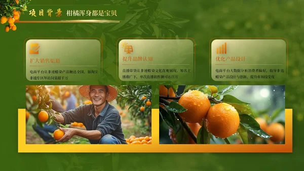 黄绿色高级创赛风农产品汇报PPT模板