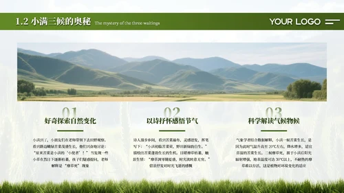 绿色简约创意中国传统二十四节气之小满课件PPT模板