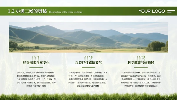 绿色简约创意中国传统二十四节气之小满课件PPT模板