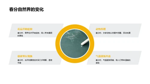 春分的奥秘与乐趣