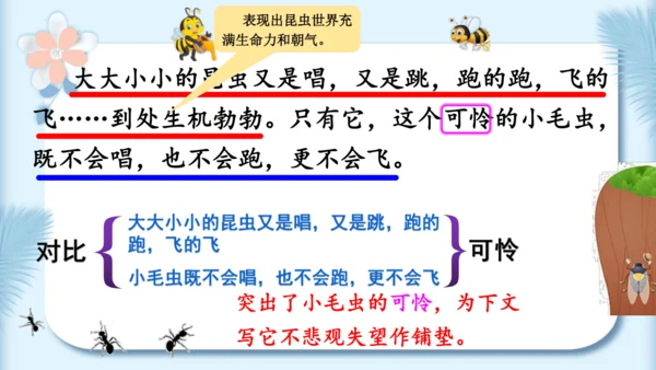 22.小毛虫（第二课时）教学课件