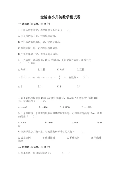 盘锦市小升初数学测试卷精编.docx