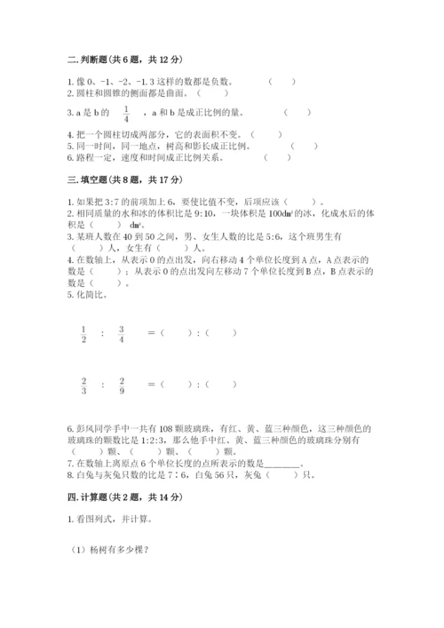 徐州市小升初数学测试卷精编.docx