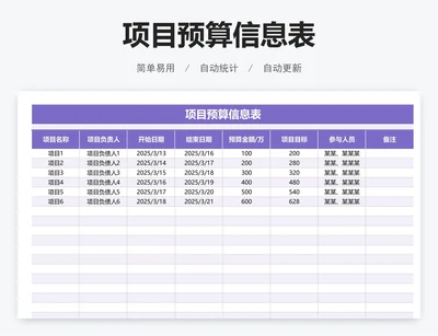 项目预算信息表