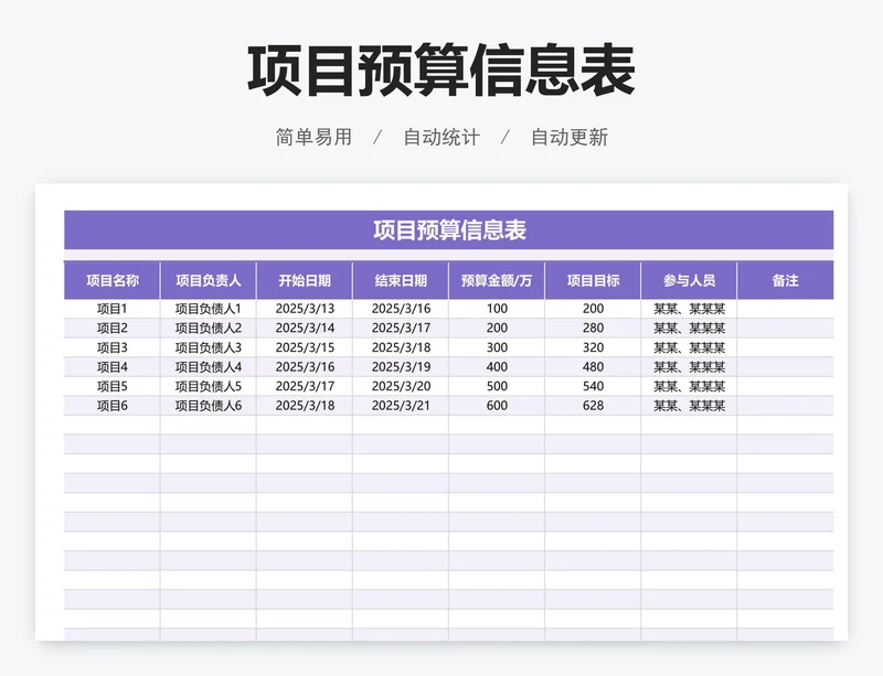 项目预算信息表
