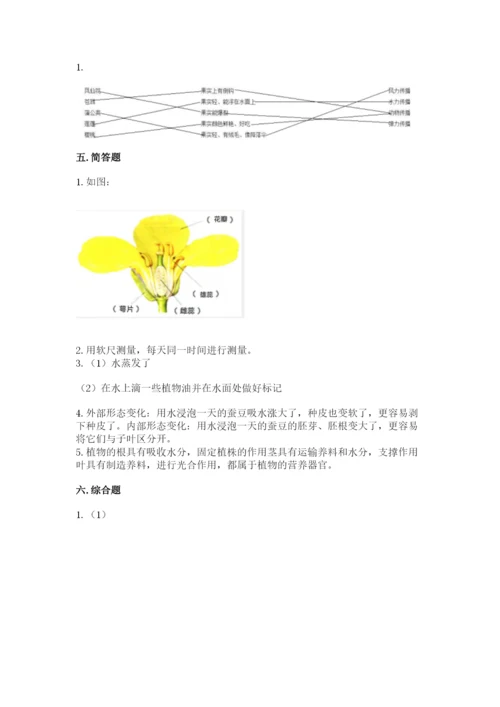 教科版科学四年级下册第一单元《植物的生长变化》测试卷（全优）.docx