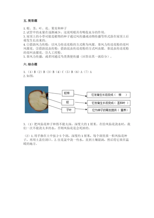 科学四年级下册第一单元《植物的生长变化》测试卷（word）.docx