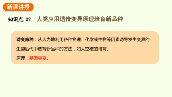 7.2.5生物的变异-八年级生物人教版下学期同步精品课件(共34张PPT)