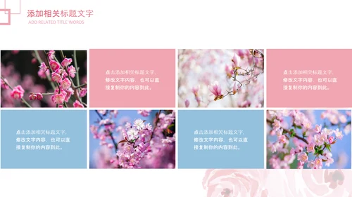 妇联三八妇女节年终工作总结汇报PPT模板