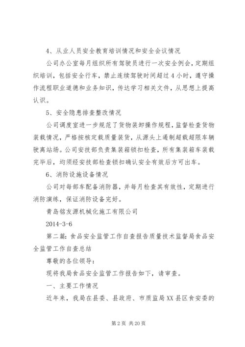 安全监管自查报告.docx