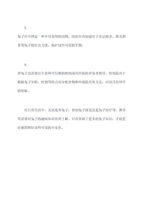 兔子趣味知识点总结