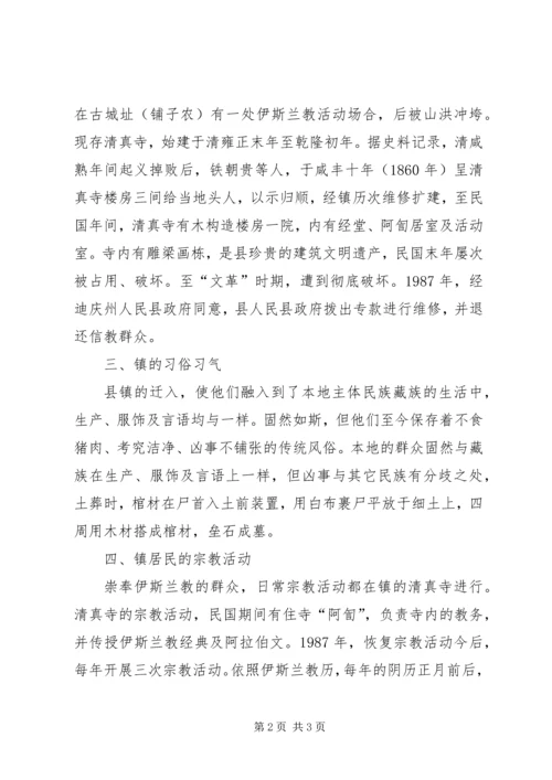 乡镇调解民族关系调研报告.docx