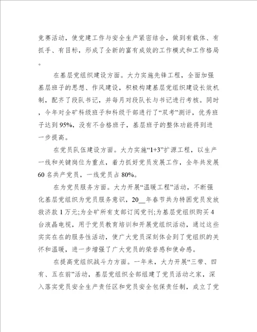 项目党支部年度报告【3篇】