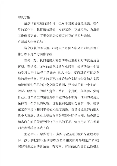 公司新人年终总结