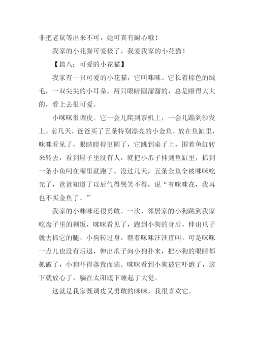 小花猫的作文.docx
