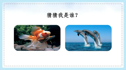 统编版语文二年级上册 课文1  口语交际 有趣的动物  课件