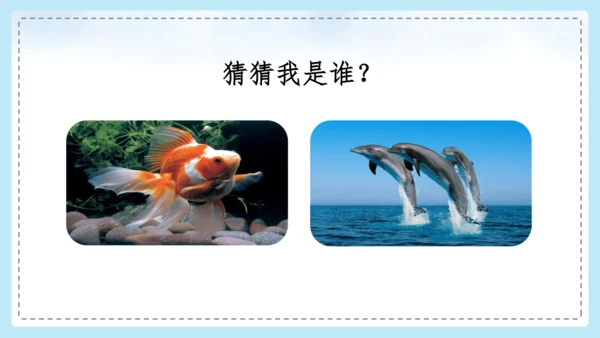 统编版语文二年级上册 课文1  口语交际 有趣的动物  课件