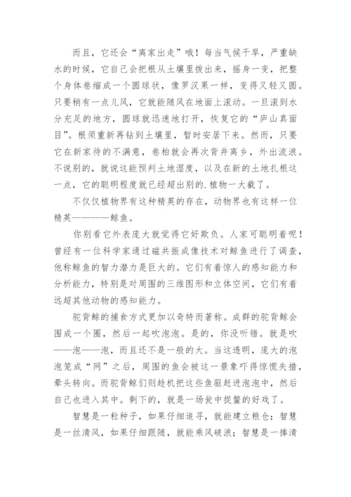 以智慧为话题的议论文.docx