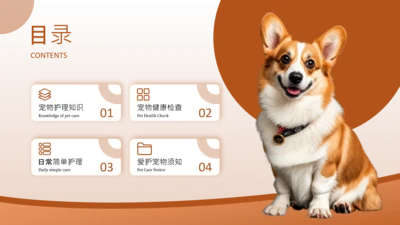 橙色简约风动物目录页