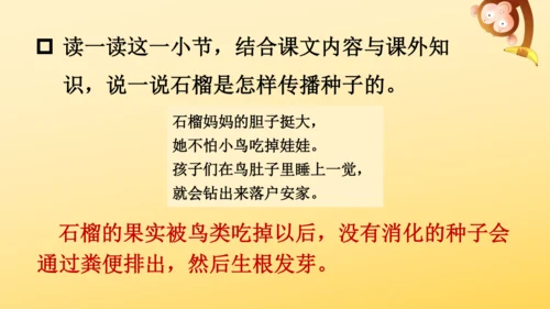 3 植物妈妈有办法  课件