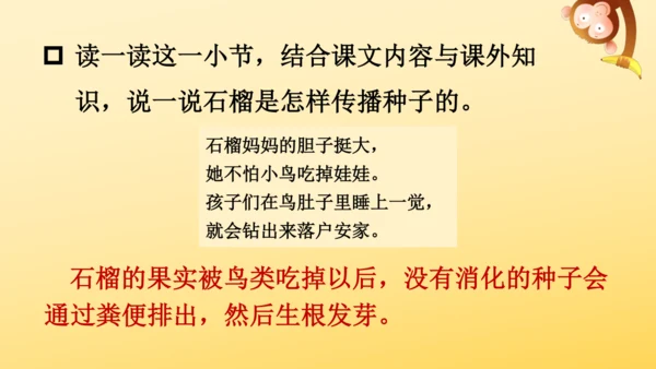 3 植物妈妈有办法  课件