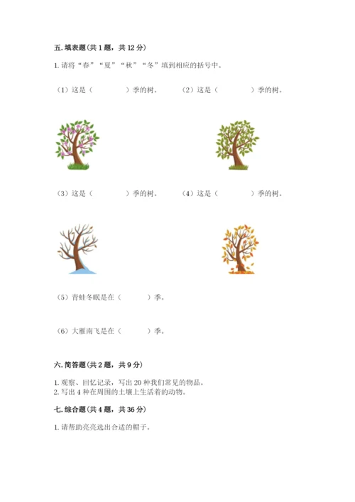 教科版二年级上册科学期末考试试卷及完整答案.docx