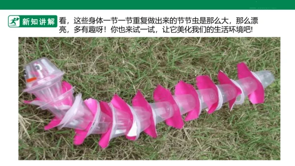 第六课《节节虫》课件
