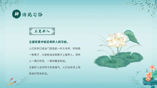 绿色中国风荷花中国传统节日立夏节气介绍主题班会PPT