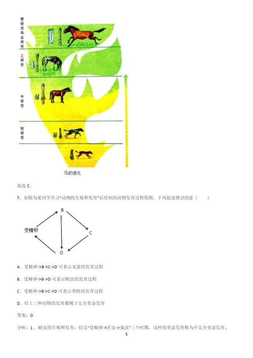 洛阳市初中生物八年级下册第七单元生物圈中生命的延续和发展知识汇总笔记.docx