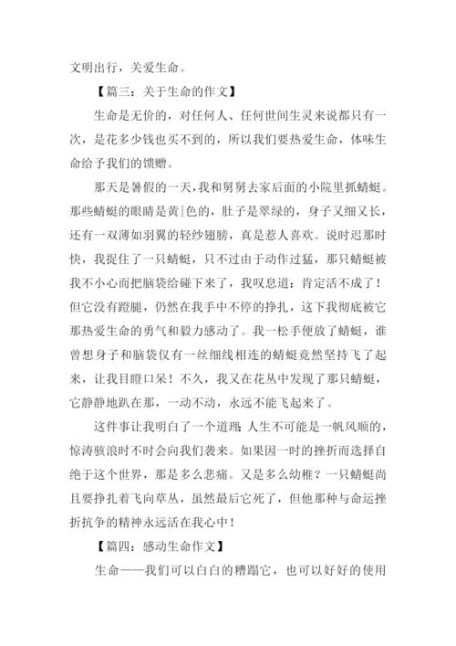 关于生命的作文-6.docx