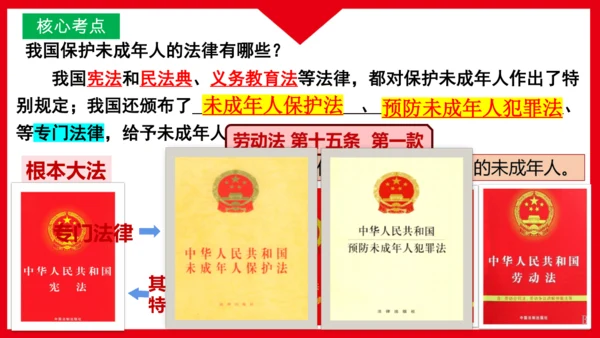 《讲·记·练高效复习》 第四单元 走进法治天地 七年级道德与法治下册 课件(共29张PPT)