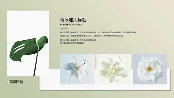 浅绿色极简光影小清新通用PPT演示模板