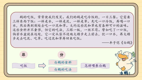 统编版语文四年级下册2024-2025学年度第四单元习作：我的动物朋友（课件）