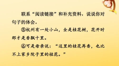 3 桂花雨   课件